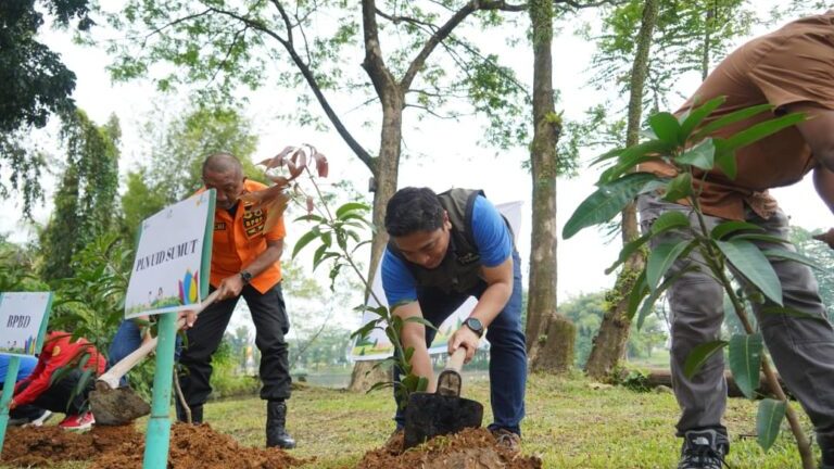 PLN UID Sumut Peringati Hari Lingkungan Hidup dengan Penanaman Pohon di Medan