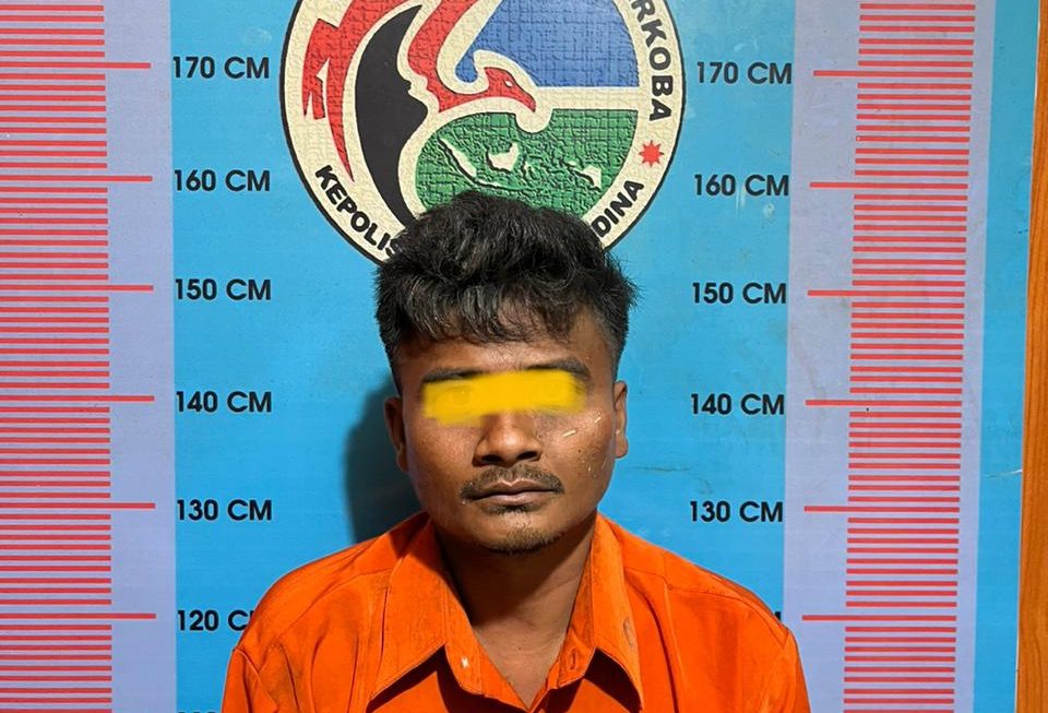 Residivis Narkoba Digrebek Polres Madina: 13,48 Gram Sabu Disita