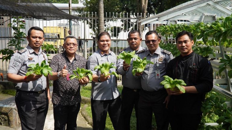 Karutan Kelas I Medan Panen Sawi Hidroponik Bersama GM Hotel Grand Mercure