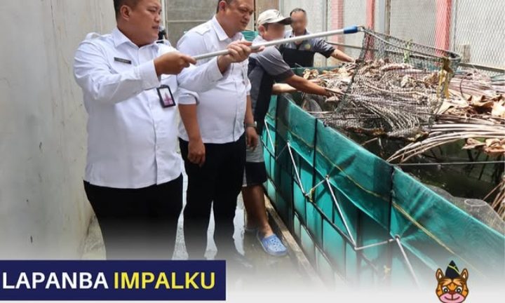 DUKUNG KETAHANAN PANGAN, KALAPAS DIDAMPINGI KASI GIATJA MELAKUKAN PENGECEKAN TERNAK IKAN LELE”