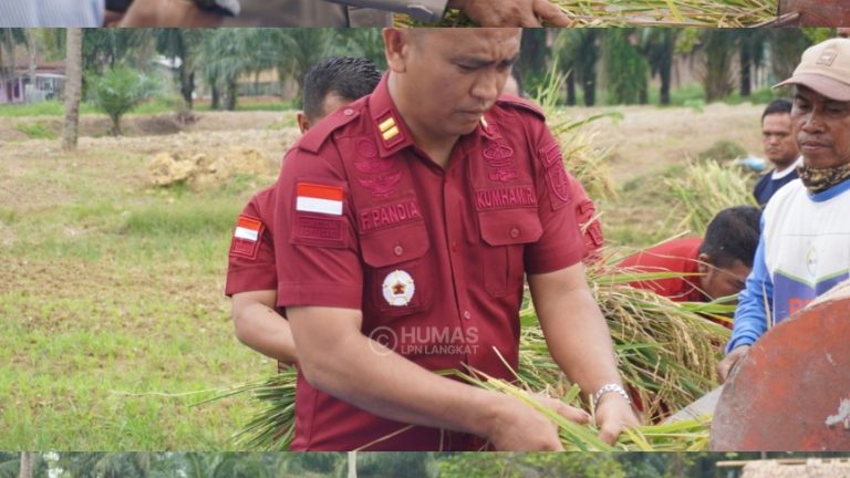 Panen Raya Padi, Lapas Narkotika Langkat Wujudkan Program Ketahanan Pangan Nasional