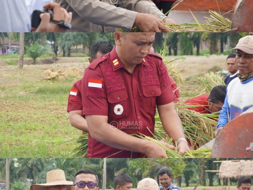 Panen Raya Padi, Lapas Narkotika Langkat Wujudkan Program Ketahanan Pangan Nasional