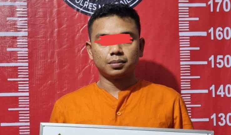 Polsek Panyabungan Ringkus Pria Pengguna Narkoba, 5 Butir Ekstasi Disita