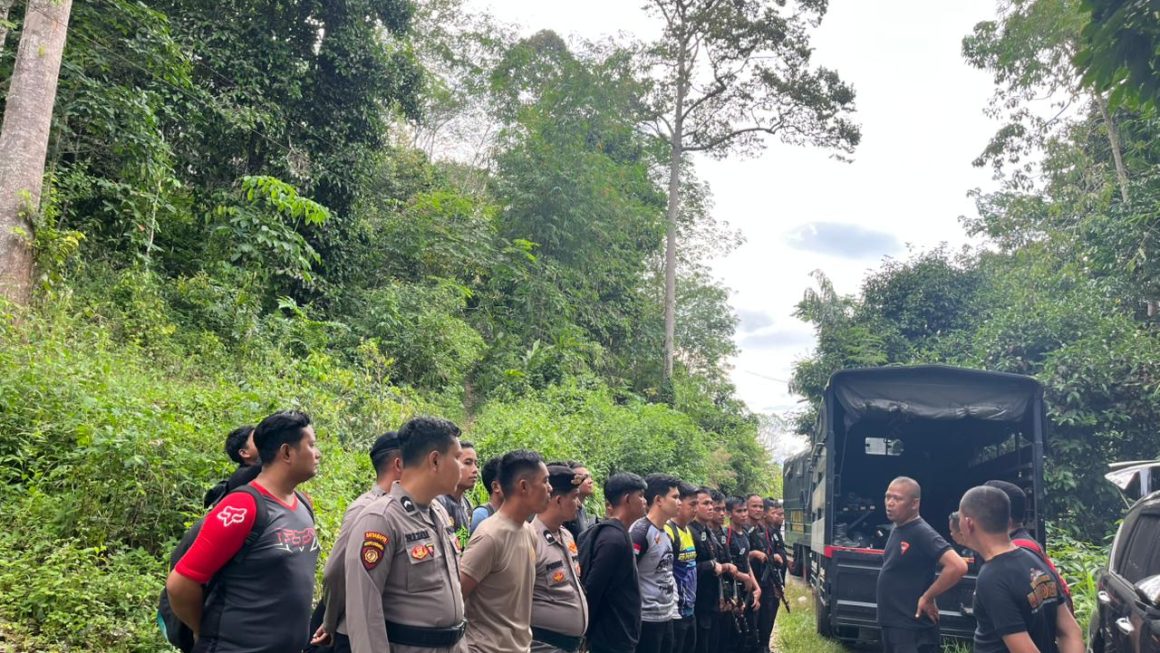 Satuan Brimob Polda Sumut Musnahkan 10 Hektar Ladang Ganja di Perbukitan Mandailing Natal