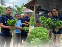 Panen 65 Kilogram Kangkung, Rutan Tanjung Pura Distribusikan Hasil Panen Dukung Penuh Ketahanan Pangan Nasional