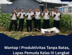 Produktivitas Tanpa Batas: Warga Binaan Lapas Pemuda Langkat Sukses Panen Sayur Terong